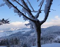  4. Dezember 2010 - ein kalter Wintertag bei Samuel